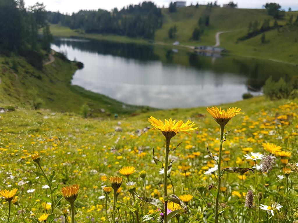 Hotel Berghof Tauplitzalm Exteriör bild
